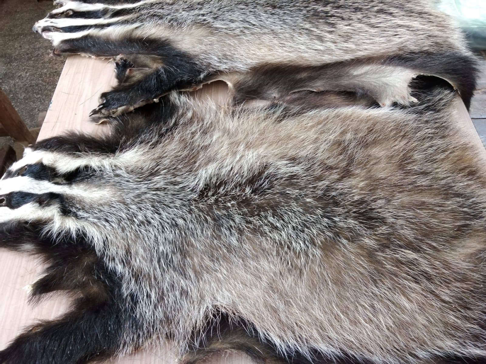 Badger fur