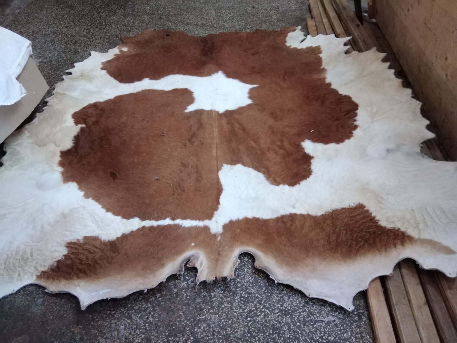 Calf and cattle leathers for carpets